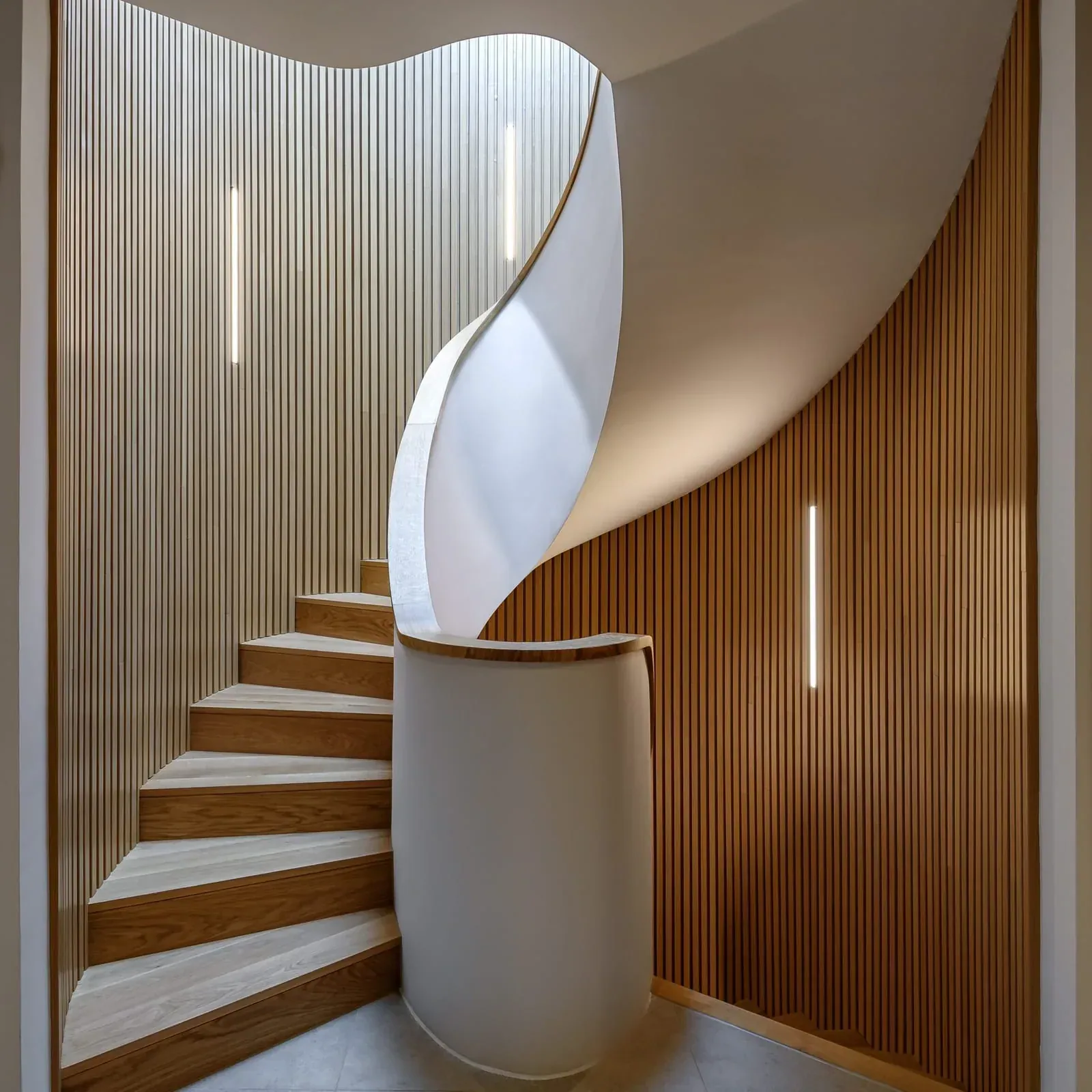 Helical staircase with a curved white plastered balustrade, oak treads and fluted oak wall panelling with recessed linear lights