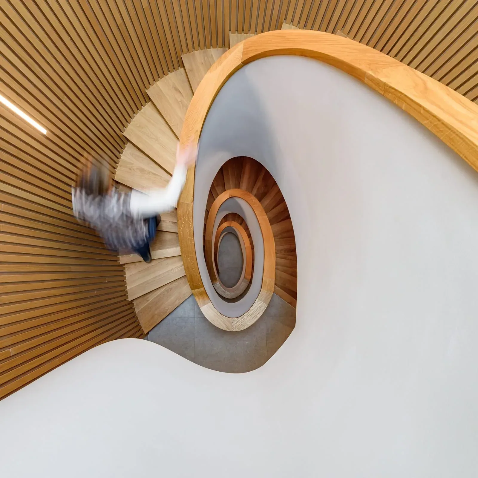 Helical staircase seen from above, the curved white balustrade spiralling down between fluted oak panelling